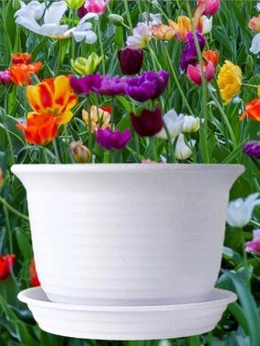 6” White Round Plastic Plant Pot Saucer Drainage Tray – Indoor & Outdoor Planter